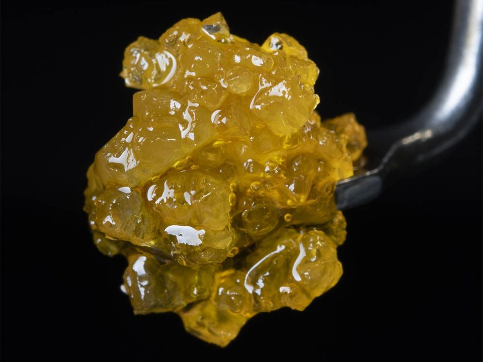 Harmony Extracts Products Live Sugar 3