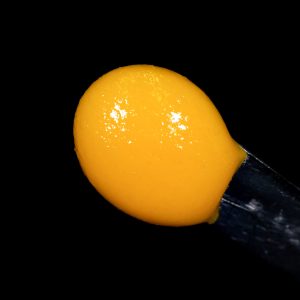 velvet smooth1 gelat x mimosa1