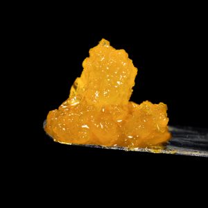 velvet smooth3 gelat x mimosa3