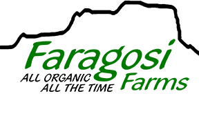 faragosi logo