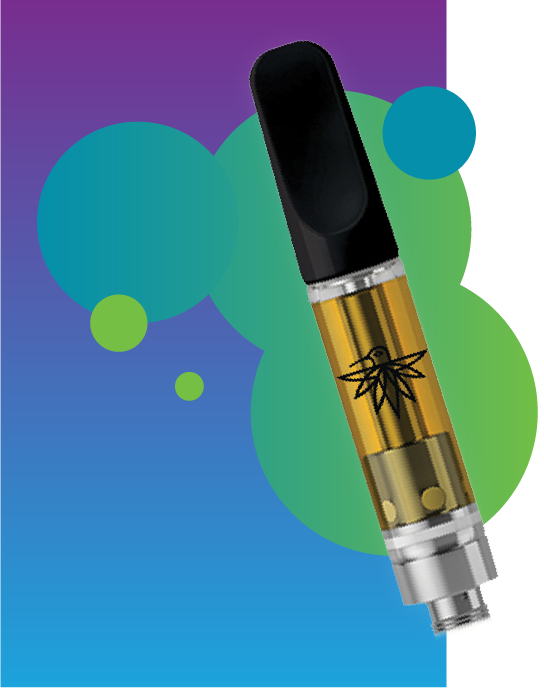 Cart Alt Gradient