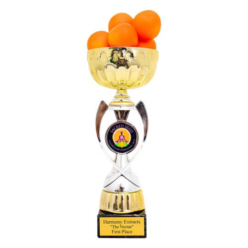 Clementine Challenge 2017 - 1st Place