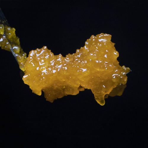 Harmony Extracts Products Live Sugar 1