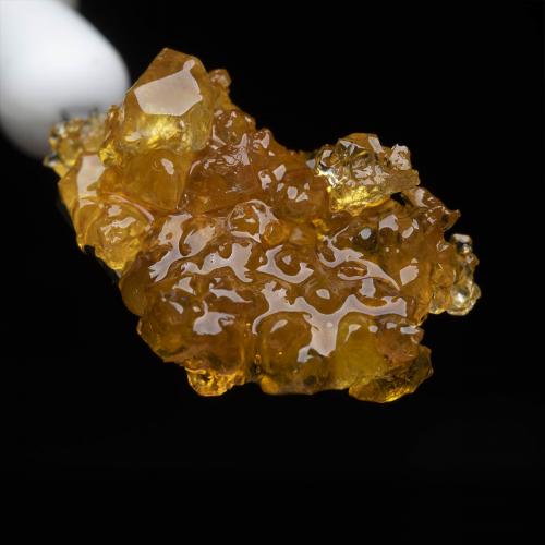 Harmony Extracts Products Live Sugar 2