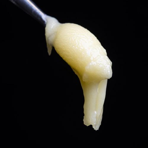 Harmony Extracts Products Live Terp Badder Sugar 2