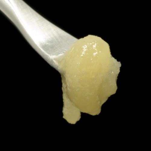 Harmony Extracts Products Live Terp Badder Sugar 4